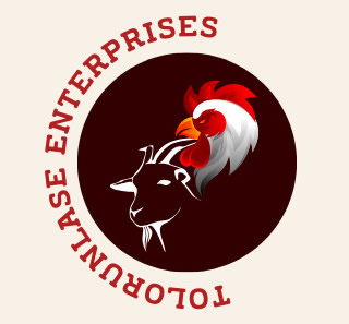 Tolorunlase Enterprises