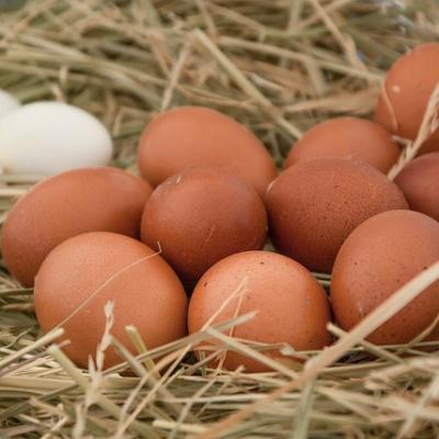 Eggs 3611710 640